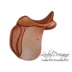 Loxley dressage by Bliss